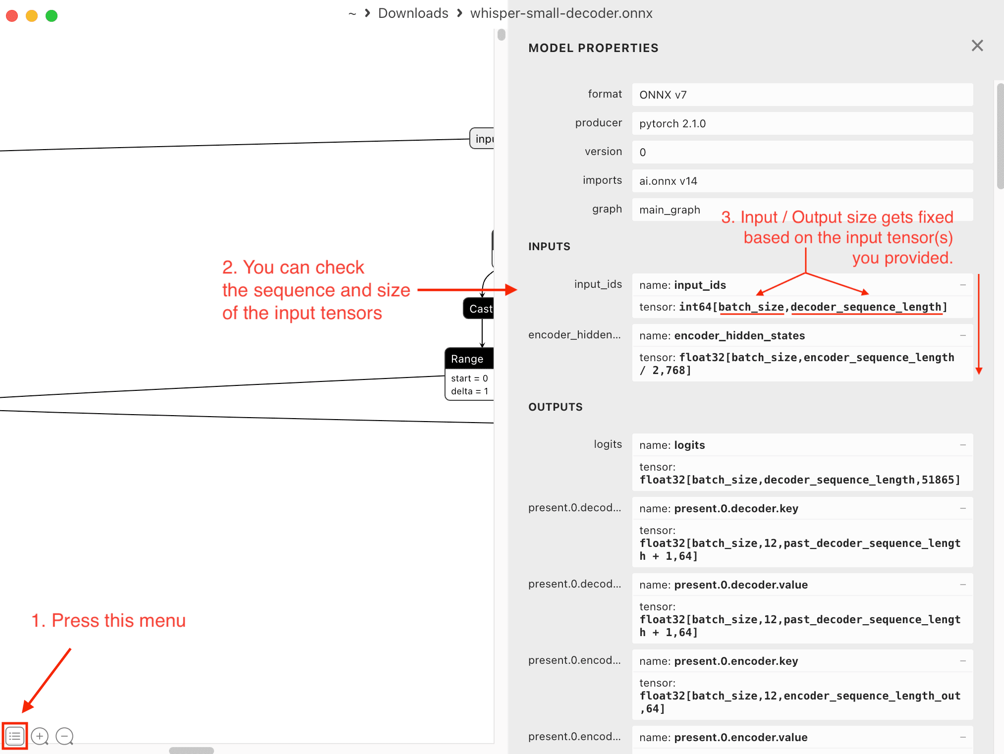 Checking input sequence with Netron